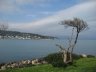 LE CAP D'ANTIBES - MARS 2010 - 